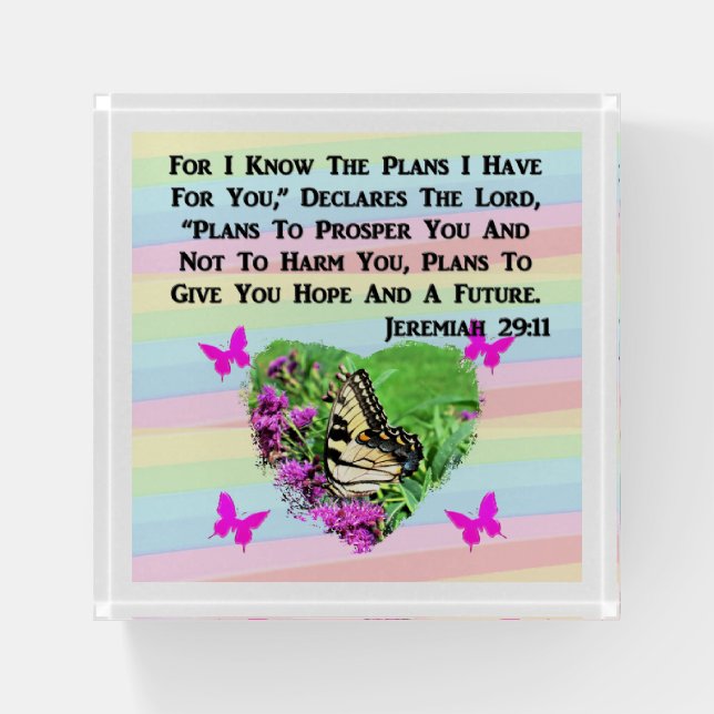 PRETTY BUTTERFLY JEREMIAH 29:11 PAPERWEIGHT (Front)