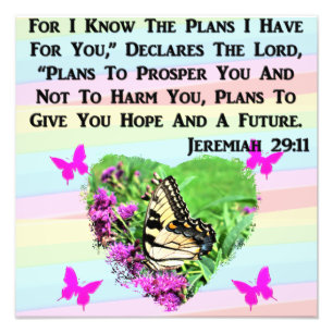 PRETTY BUTTERFLY JEREMIAH 29:11 PHOTO PRINT