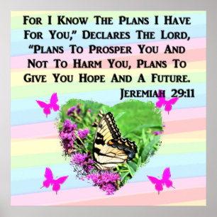 PRETTY BUTTERFLY JEREMIAH 29:11 POSTER