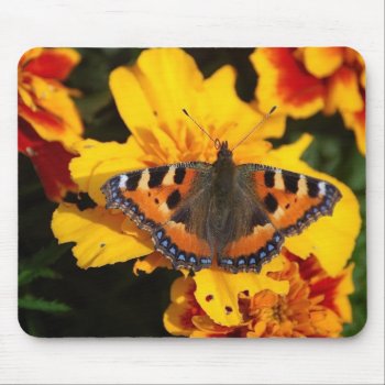 Pretty Butterfly Mousepad by pulsDesign at Zazzle