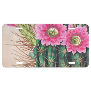 pretty cactus license plate