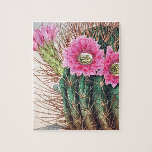 pretty cactus puzzle | Zazzle