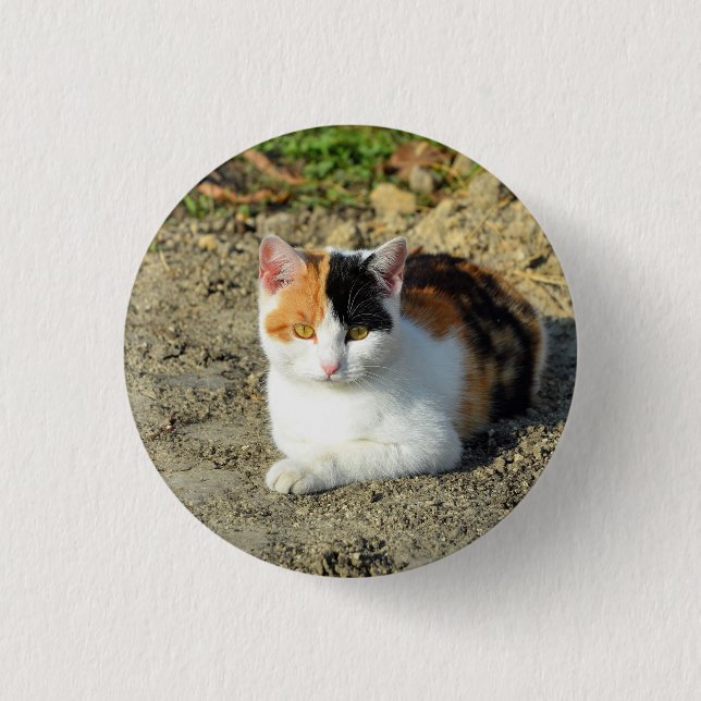 Pretty Calico Cat Photo Button (Front)
