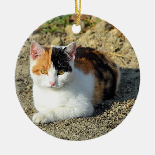 Pretty Calico Cat Photo Ceramic Ornament