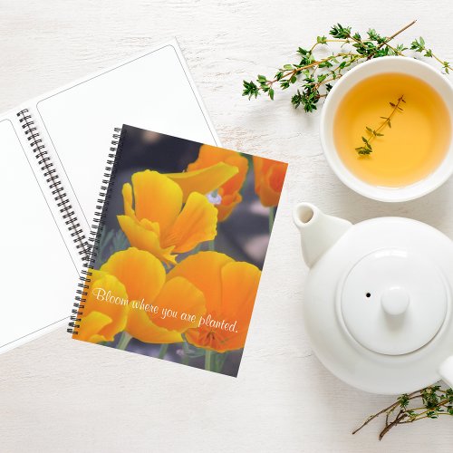 Pretty California Poppies with Quote Sketch Notebook