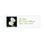 Pretty Calla Lilies Label