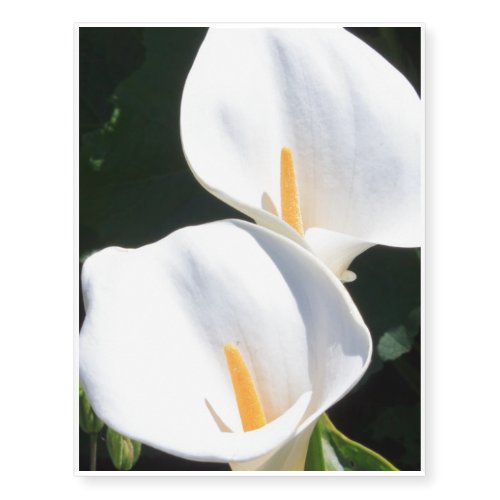 Pretty Calla Lilies Temporary Tattoos