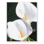 Pretty Calla Lilies Temporary Tattoos