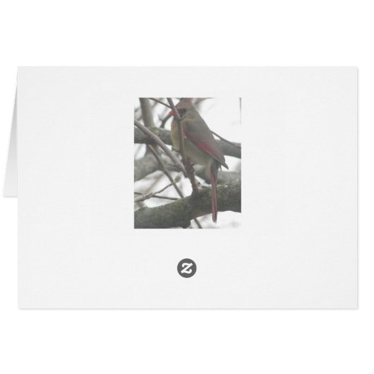 Pretty Cardinal on Winter's Day Blank Card (Back Horizontal)