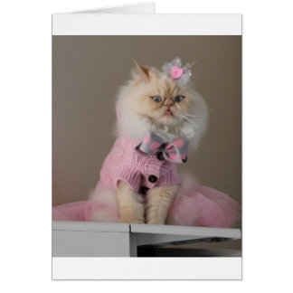 Pretty  cat  in Pink Sweater Cards