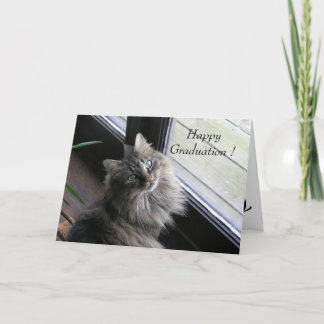 Pretty Cat Says Happy Graduation Card