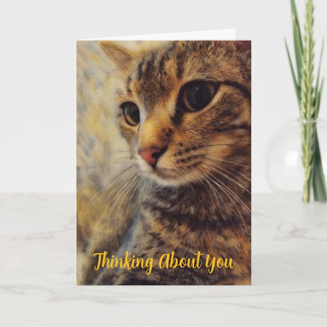 Pretty Cat Thinking of You Card (Front)