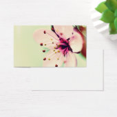 Pretty Cherry Blossom (Desk)