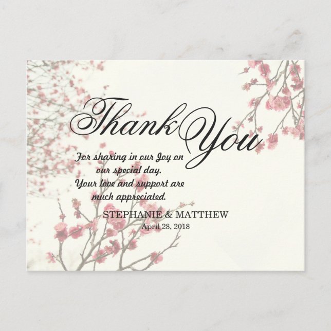 Pretty Cherry Blossom Trees on Elegant White Postcard (Front)