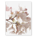 Pretty Cherry Blossoms Temporary Tattoos