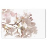 Pretty Cherry Blossoms Tissue Paper