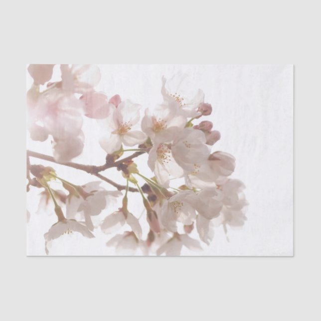 Pretty Cherry Blossoms Tissue Paper (Front)