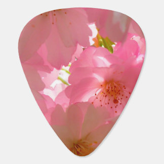 Pretty Cherry Flowers Guitar Pick