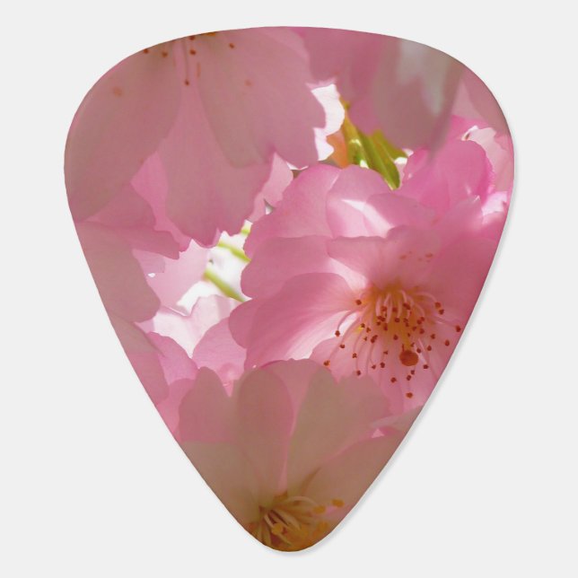 Pretty Cherry Flowers Guitar Pick (Back)