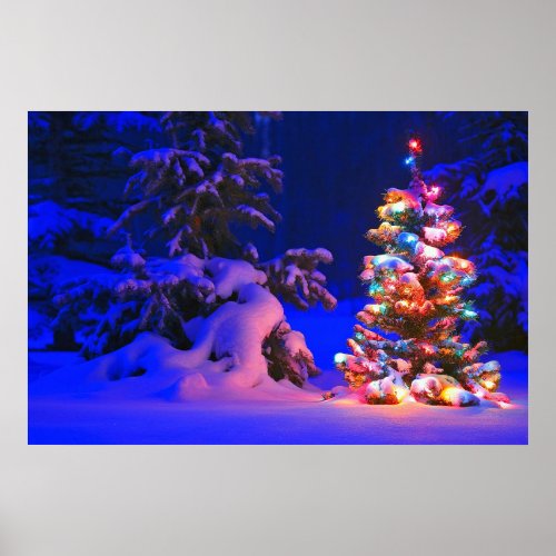 Pretty Christmas Tree Lights Snow Photo Poster