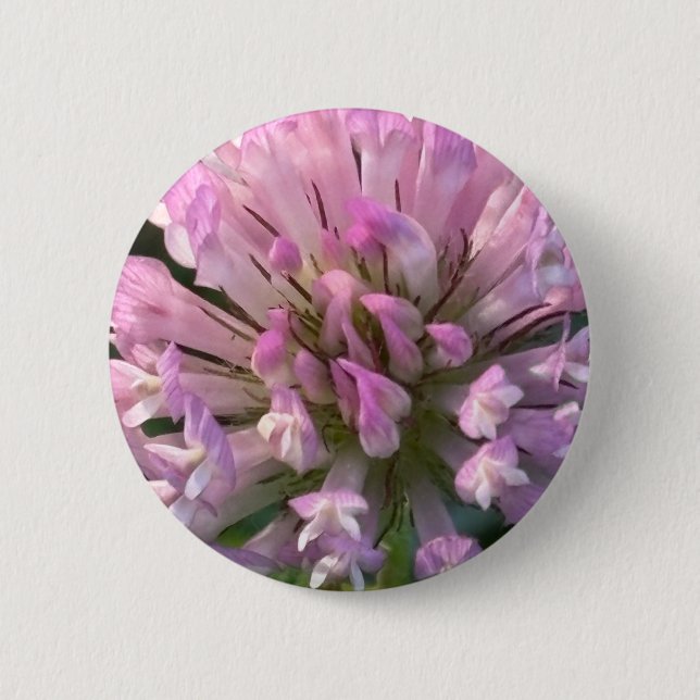 Pretty Clover Flower  Button (Front)