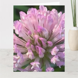Pretty Clover Flower  Card