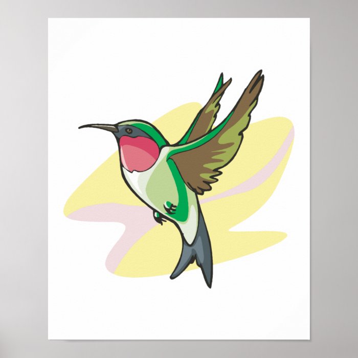 pretty colibri bird print