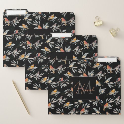 Pretty Colorful Birds Leaves Vintage Black Design File Folder