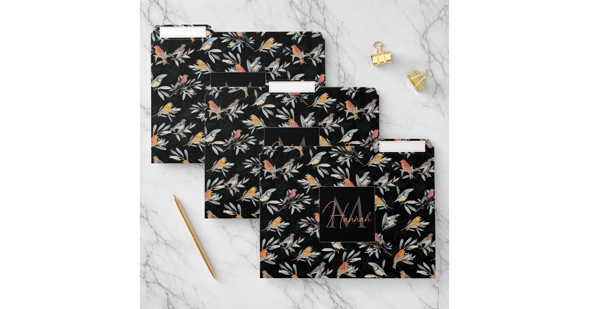 Pretty Colorful Birds Leaves Vintage Black Design File Folder | Zazzle