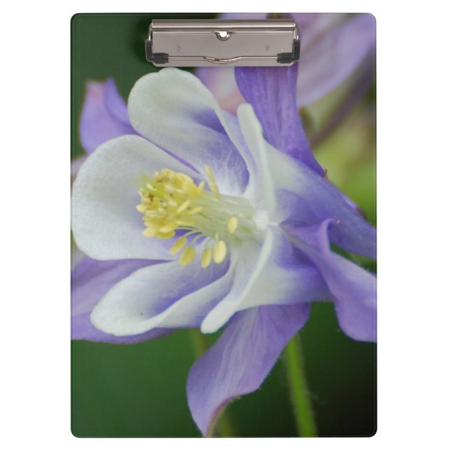 Pretty Columbine Flower Clipboard (Front)