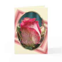 Pretty Coral Bi-color Rose2- any occasion