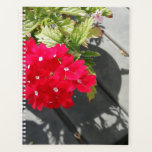 Pretty coral flower. planner<br><div class="desc">Taken outside at a local garden center.</div>