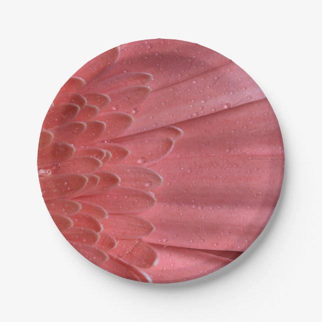 Pretty Coral Pink Gerbera Daisy Paper Plates (Front)