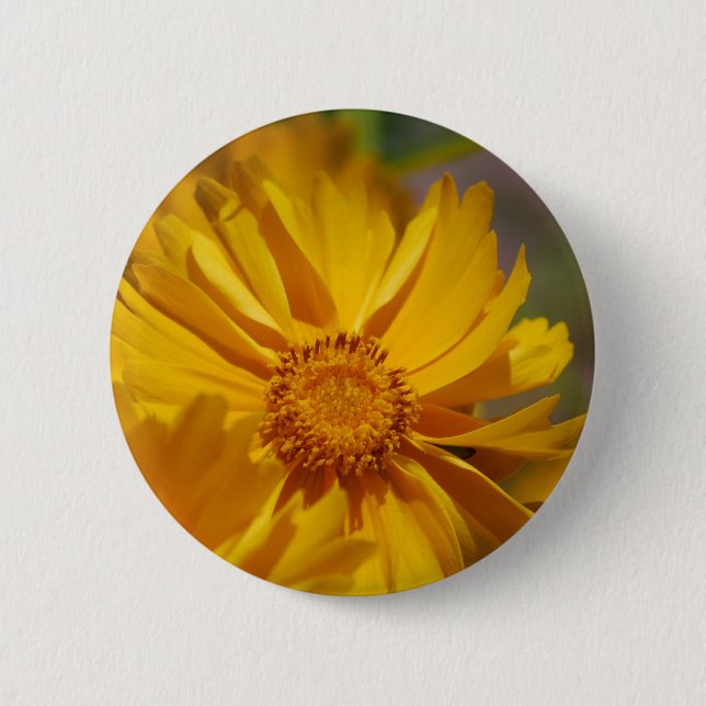 Pretty Coreopsis Flowers Button (Front)