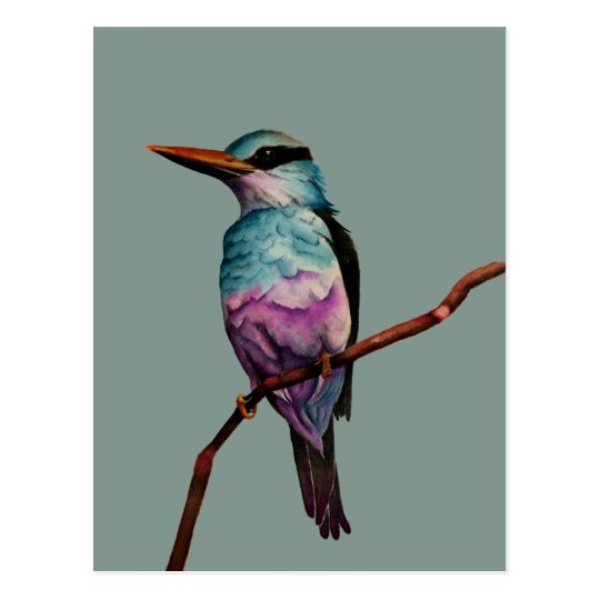 Pretty Cotton Candy Color Bird Painting Postcard Zazzle Com
