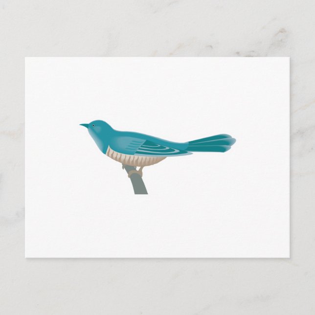 pretty cuckoo bird postcard (Front)