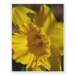 Pretty Daffodil Temporary Tattoos