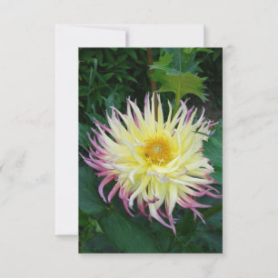Pretty Dahlia Flower Card