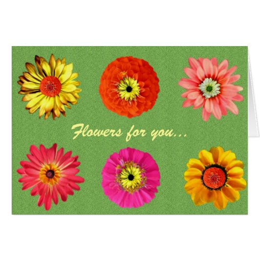 Pretty Daisies Cards (Front Horizontal)