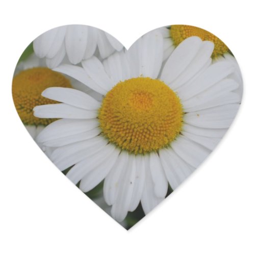 Pretty Daisies Heart Sticker