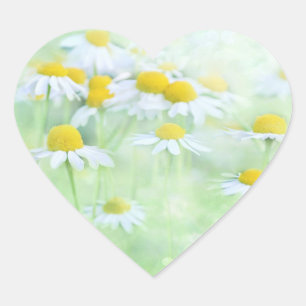 Pretty Daisies in a Field Heart Sticker