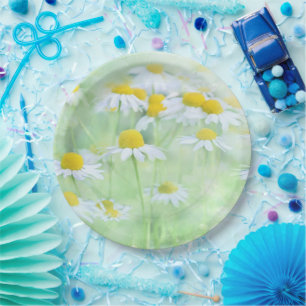 Pretty Daisies in a Field Paper Plates