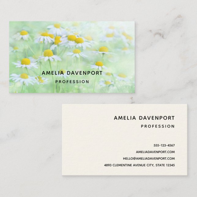 Pretty Daisies in a Field Photograph Business Card (Front/Back)