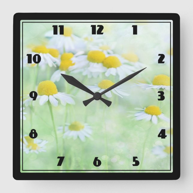Pretty Daisies in a Field Photograph on a Square Wall Clock (Front)