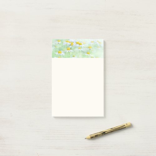 Pretty Daisies in a Field Photograph Post_it Notes