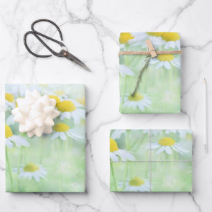 Pretty Daisies in a Field Photograph Wrapping Paper Sheets