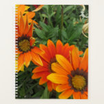 Pretty daisies. planner<br><div class="desc">Taken at a local garden center.</div>