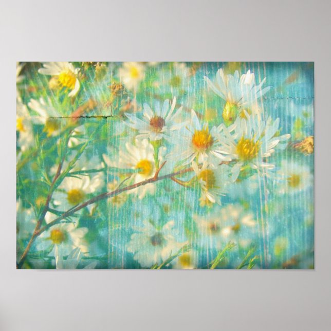 Pretty Daisies Poster (Front)