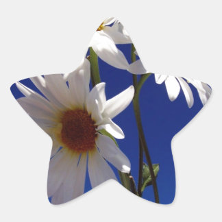 Pretty Daisies Star Sticker