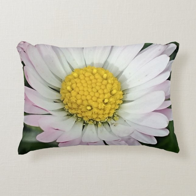 Pretty daisy accent pillow (Front)